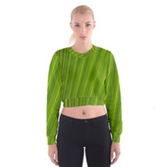 Green Leaf Pattern Plant Cropped Sweatshirt by Sapixe