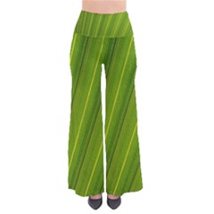 Green Leaf Pattern Plant So Vintage Palazzo Pants by Sapixe