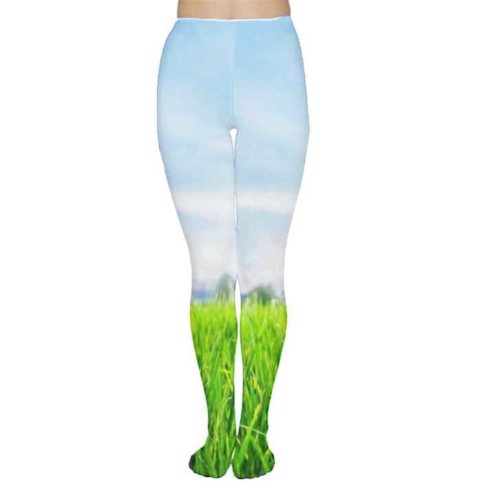 Green Landscape, Green Grass Close Up Blue Sky And White Clouds Women s Tights