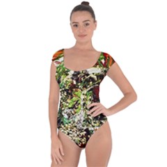 April   Birds Of Paradise 5 Short Sleeve Leotard  by bestdesignintheworld