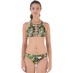 April   Birds Of Paradise 5 Perfectly Cut Out Bikini Set by bestdesignintheworld