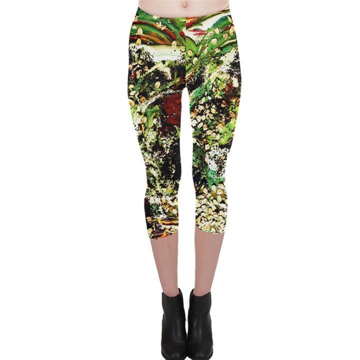 April   Birds Of Paradise 5 Capri Leggings 