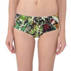 April   Birds Of Paradise 5 Mid-waist Bikini Bottoms by bestdesignintheworld