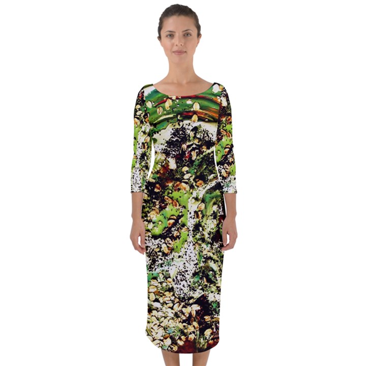 April   Birds Of Paradise 5 Quarter Sleeve Midi Bodycon Dress