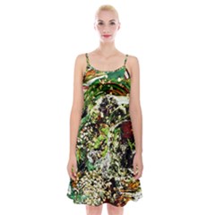 April   Birds Of Paradise 5 Spaghetti Strap Velvet Dress by bestdesignintheworld