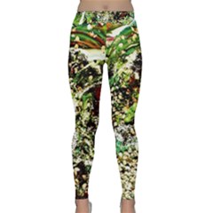 April   Birds Of Paradise 5 Classic Yoga Leggings by bestdesignintheworld