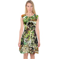 April   Birds Of Paradise 5 Capsleeve Midi Dress