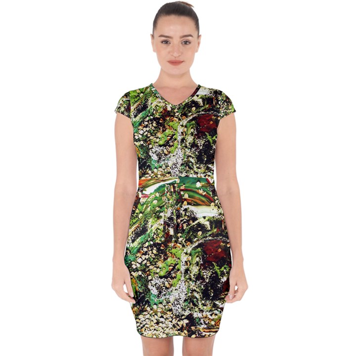 April   Birds Of Paradise 5 Capsleeve Drawstring Dress 