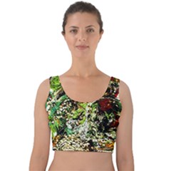 April   Birds Of Paradise 5 Velvet Crop Top