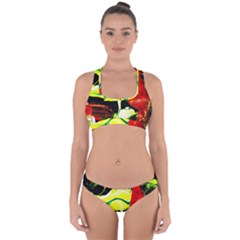 Drama 1 Cross Back Hipster Bikini Set