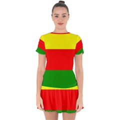 Kurdistan Kurd Kurds Kurdish Flag Drop Hem Mini Chiffon Dress