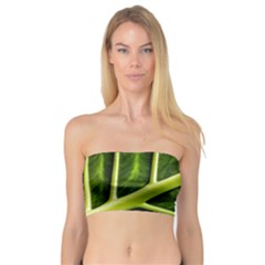 Leaf Dark Green Bandeau Top by Sapixe