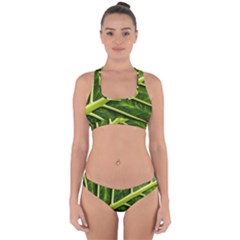 Leaf Dark Green Cross Back Hipster Bikini Set by Sapixe