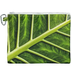 Leaf Dark Green Canvas Cosmetic Bag (xxxl) by Sapixe