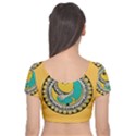 Madhubani Fish Indian Ethnic Pattern Velvet Short Sleeve Crop Top  View2