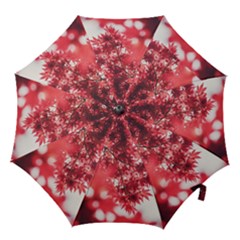 Maple Leaves Red Autumn Fall Hook Handle Umbrellas (small) by Sapixe