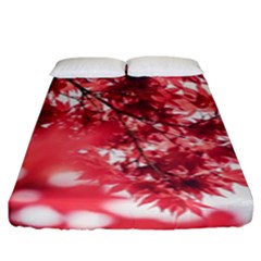 Maple Leaves Red Autumn Fall Fitted Sheet (king Size) by Sapixe