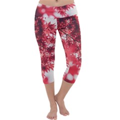 Maple Leaves Red Autumn Fall Capri Yoga Leggings by Sapixe