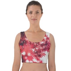 Maple Leaves Red Autumn Fall Velvet Crop Top