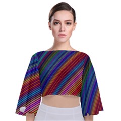 Multicolored Stripe Curve Striped Tie Back Butterfly Sleeve Chiffon Top by Sapixe