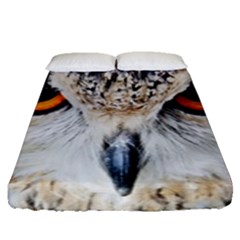 Owl Face Fitted Sheet (queen Size) by Sapixe