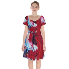 Dscf2258 Point Of View Short Sleeve Bardot Dress by bestdesignintheworld