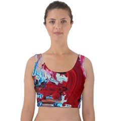 Dscf2258 Point Of View Velvet Crop Top by bestdesignintheworld