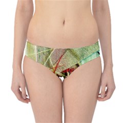 Hidden Strings Of Purity 12 Hipster Bikini Bottoms by bestdesignintheworld