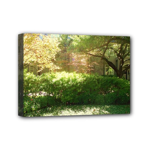 Highland Park 19 Mini Canvas 7  X 5  by bestdesignintheworld