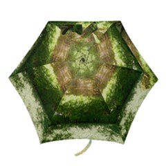 Highland Park 19 Mini Folding Umbrellas by bestdesignintheworld