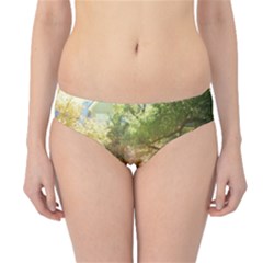 Highland Park 19 Hipster Bikini Bottoms by bestdesignintheworld