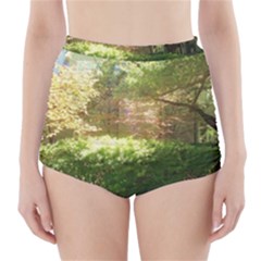 Highland Park 19 High-waisted Bikini Bottoms by bestdesignintheworld