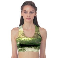 Highland Park 19 Sports Bra by bestdesignintheworld