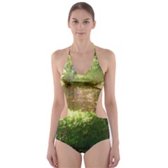 Highland Park 19 Cut-out One Piece Swimsuit by bestdesignintheworld