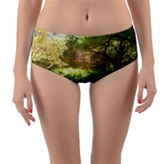 Highland Park 19 Reversible Mid-waist Bikini Bottoms by bestdesignintheworld