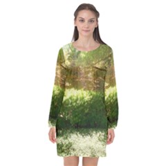 Highland Park 19 Long Sleeve Chiffon Shift Dress  by bestdesignintheworld