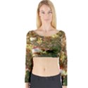 Highland Park 18 Long Sleeve Crop Top View1