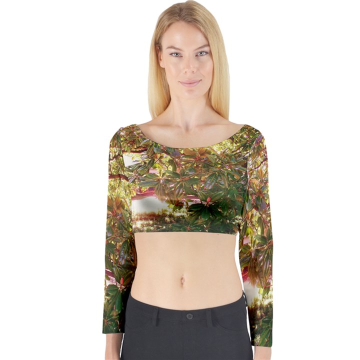 Highland Park 18 Long Sleeve Crop Top