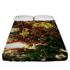 Highland Park 18 Fitted Sheet (queen Size) by bestdesignintheworld