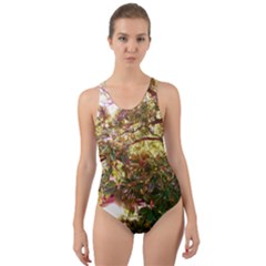 Highland Park 18 Cut-out Back One Piece Swimsuit by bestdesignintheworld