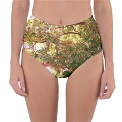 Highland Park 18 Reversible High-waist Bikini Bottoms by bestdesignintheworld