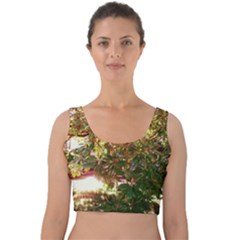 Highland Park 18 Velvet Crop Top by bestdesignintheworld