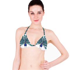 Peacock Bird Peacock Feathers Bikini Top by Sapixe