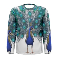 Peacock Bird Peacock Feathers Men s Long Sleeve Tee by Sapixe