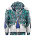 Peacock Bird Peacock Feathers Men s Pullover Hoodie View2