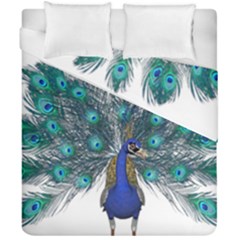 Peacock Bird Peacock Feathers Duvet Cover Double Side (california King Size) by Sapixe