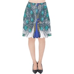 Peacock Bird Peacock Feathers Velvet High Waist Skirt by Sapixe