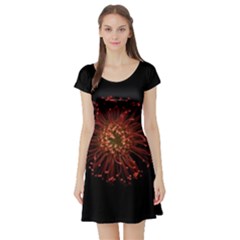 Red Flower Blooming In The Dark Short Sleeve Skater Dress by Sapixe