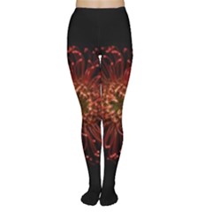 Red Flower Blooming In The Dark Women s Tights by Sapixe