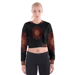 Red Flower Blooming In The Dark Cropped Sweatshirt by Sapixe